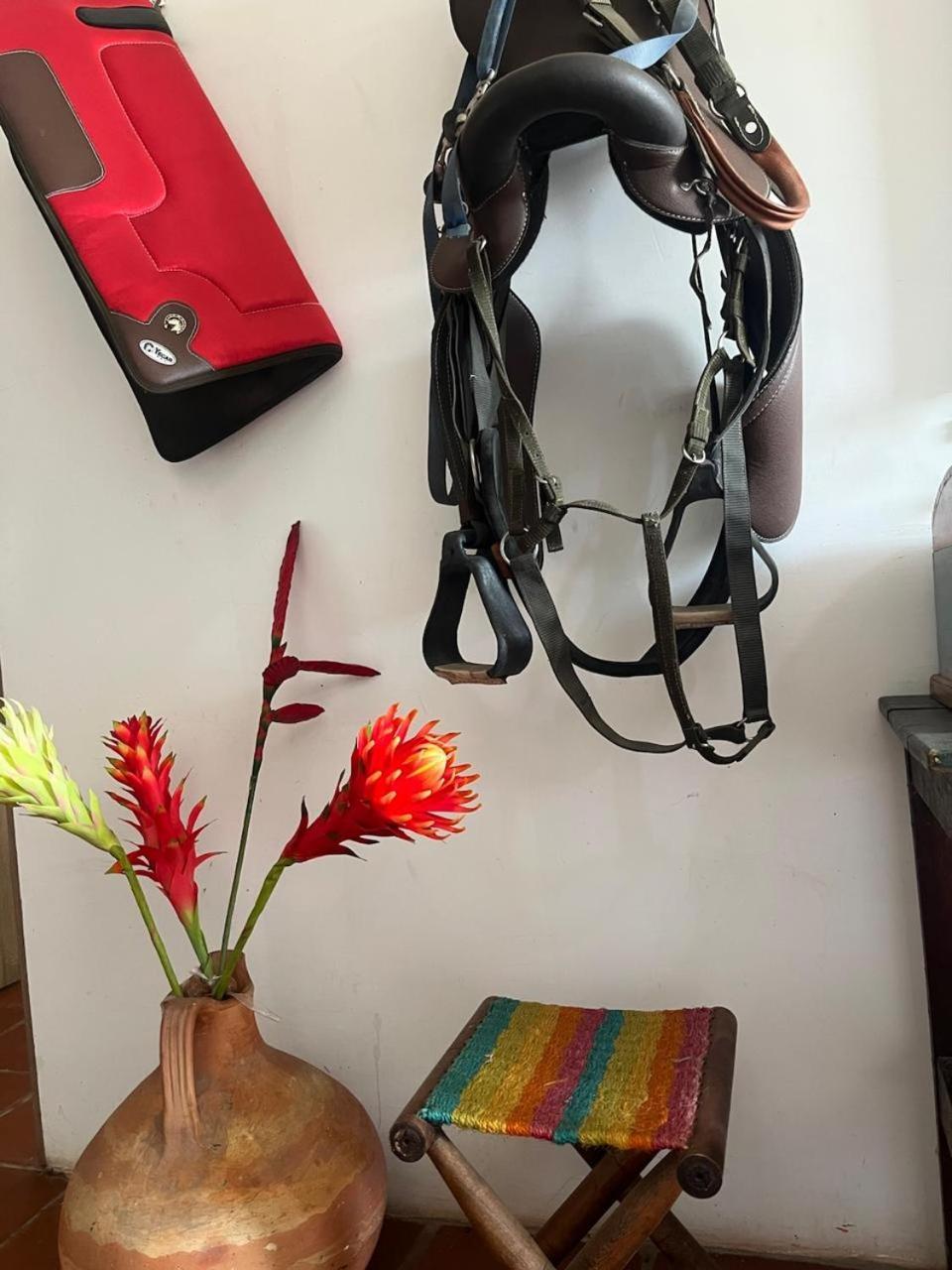 לינה וארוחת בוקר San Martin  La Casona Llanera מראה חיצוני תמונה
